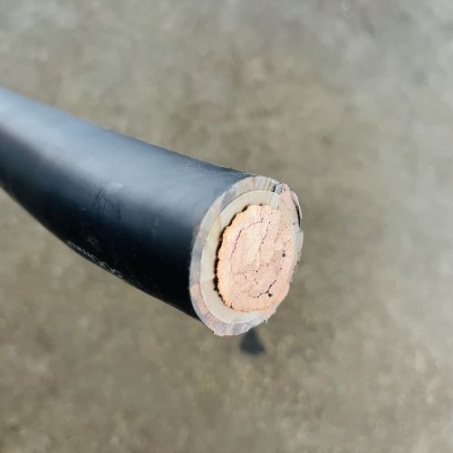 IMG_9948.jpg IMG_9948.jpg