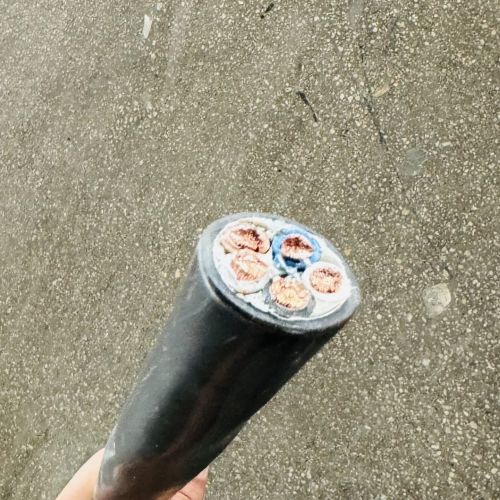 IMG_2313.jpg IMG_2313.jpg