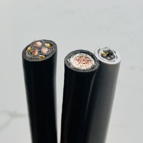 IMG_3169.jpg IMG_3169.jpg