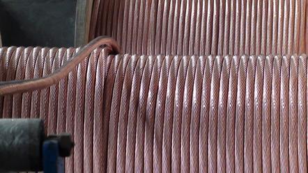 201703131914116251 201703131914116251