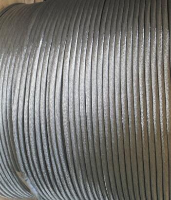 �����������ǲ���Z6���й�������ҳ����