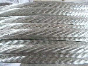 尊龙人生就是博·Z6「中国区」首页官网