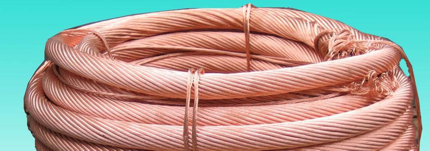 �����������ǲ���Z6���й�������ҳ����