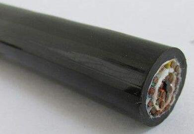 尊龙人生就是博·Z6「中国区」首页官网