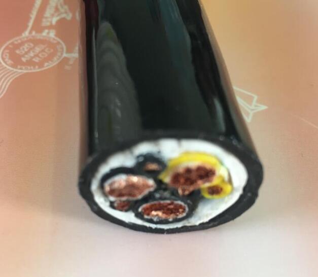 尊龙人生就是博·Z6「中国区」首页官网