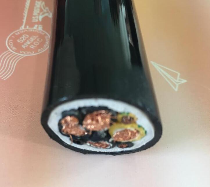 尊龙人生就是博·Z6「中国区」首页官网