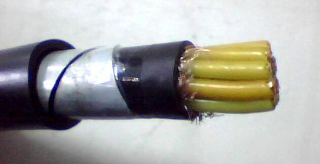 尊龙人生就是博·Z6「中国区」首页官网