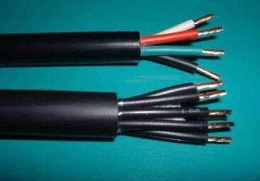 尊龙人生就是博·Z6「中国区」首页官网