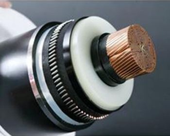 尊龙人生就是博·Z6「中国区」首页官网