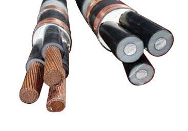 尊龙人生就是博·Z6「中国区」首页官网