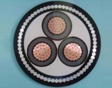 尊龙人生就是博·Z6「中国区」首页官网