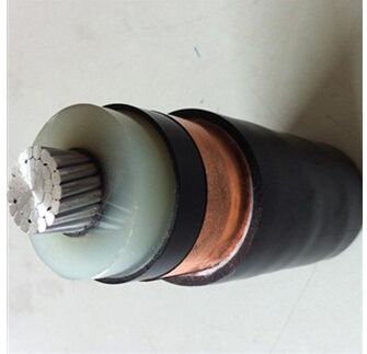 尊龙人生就是博·Z6「中国区」首页官网