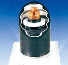 尊龙人生就是博·Z6「中国区」首页官网