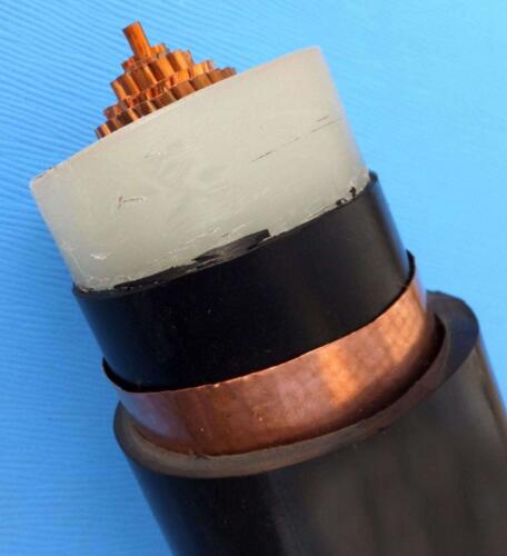 尊龙人生就是博·Z6「中国区」首页官网