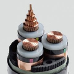 尊龙人生就是博·Z6「中国区」首页官网