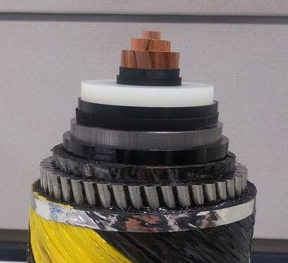 尊龙人生就是博·Z6「中国区」首页官网