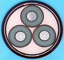 尊龙人生就是博·Z6「中国区」首页官网