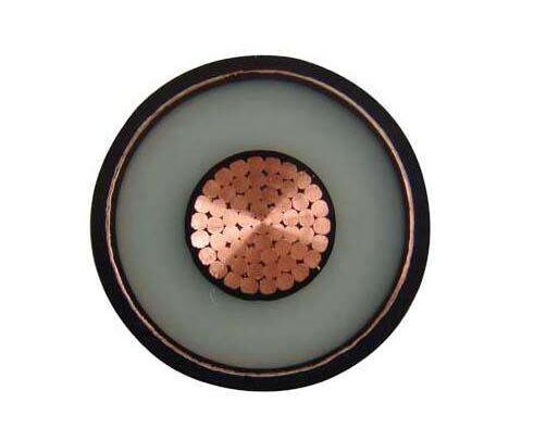 尊龙人生就是博·Z6「中国区」首页官网