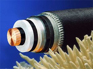 尊龙人生就是博·Z6「中国区」首页官网