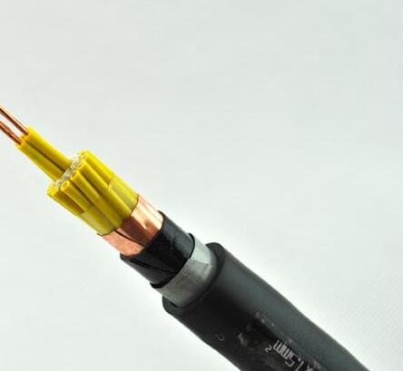 �����������ǲ���Z6���й�������ҳ����