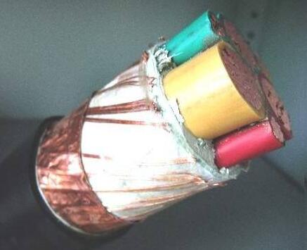 尊龙人生就是博·Z6「中国区」首页官网