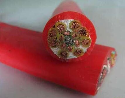 尊龙人生就是博·Z6「中国区」首页官网