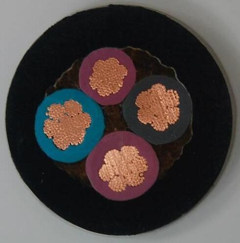 尊龙人生就是博·Z6「中国区」首页官网