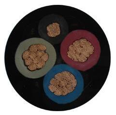 尊龙人生就是博·Z6「中国区」首页官网