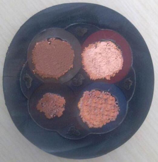 尊龙人生就是博·Z6「中国区」首页官网