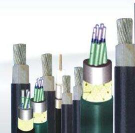 尊龙人生就是博·Z6「中国区」首页官网