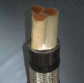 尊龙人生就是博·Z6「中国区」首页官网