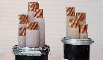 尊龙人生就是博·Z6「中国区」首页官网