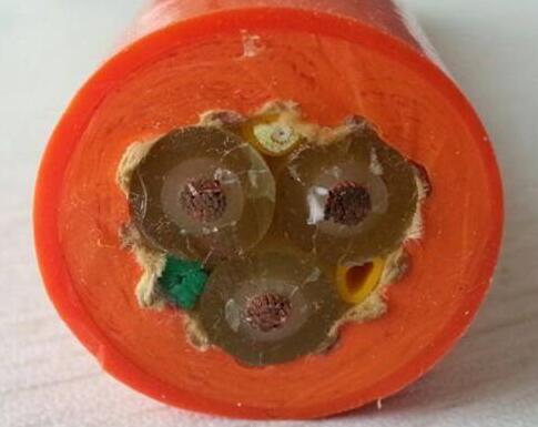 尊龙人生就是博·Z6「中国区」首页官网