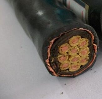 尊龙人生就是博·Z6「中国区」首页官网