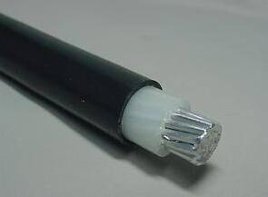 尊龙人生就是博·Z6「中国区」首页官网