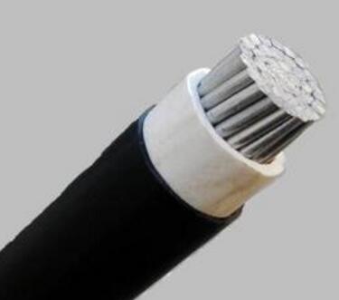 尊龙人生就是博·Z6「中国区」首页官网