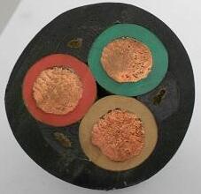 尊龙人生就是博·Z6「中国区」首页官网