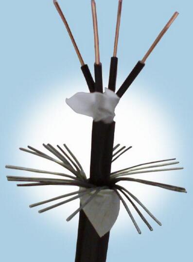 尊龙人生就是博·Z6「中国区」首页官网