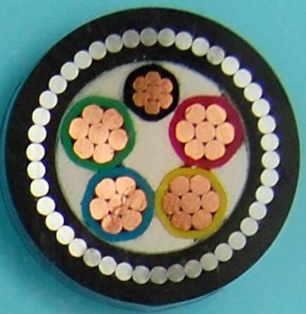 尊龙人生就是博·Z6「中国区」首页官网