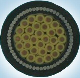 尊龙人生就是博·Z6「中国区」首页官网