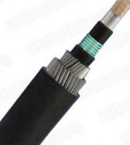 �����������ǲ���Z6���й�������ҳ����