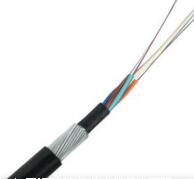 尊龙人生就是博·Z6「中国区」首页官网