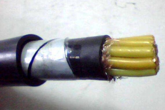 �����������ǲ���Z6���й�������ҳ����