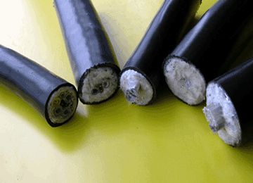 尊龙人生就是博·Z6「中国区」首页官网