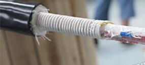 尊龙人生就是博·Z6「中国区」首页官网