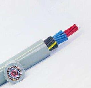 尊龙人生就是博·Z6「中国区」首页官网