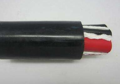 尊龙人生就是博·Z6「中国区」首页官网