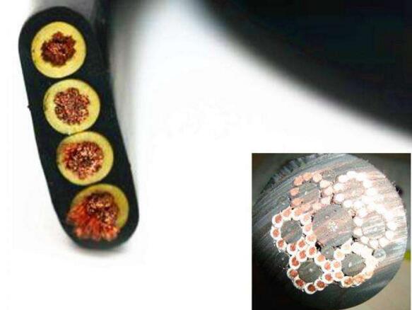 尊龙人生就是博·Z6「中国区」首页官网