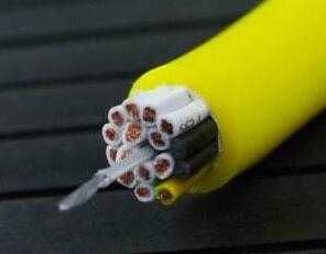 尊龙人生就是博·Z6「中国区」首页官网