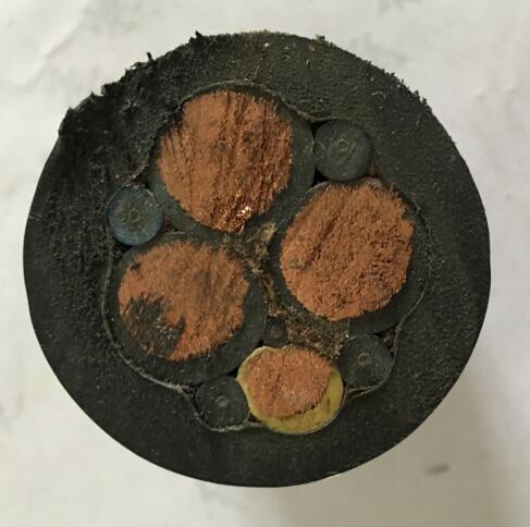 尊龙人生就是博·Z6「中国区」首页官网